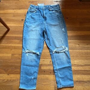 NWT American Eagle Curvy Mom Jeans - Size 10